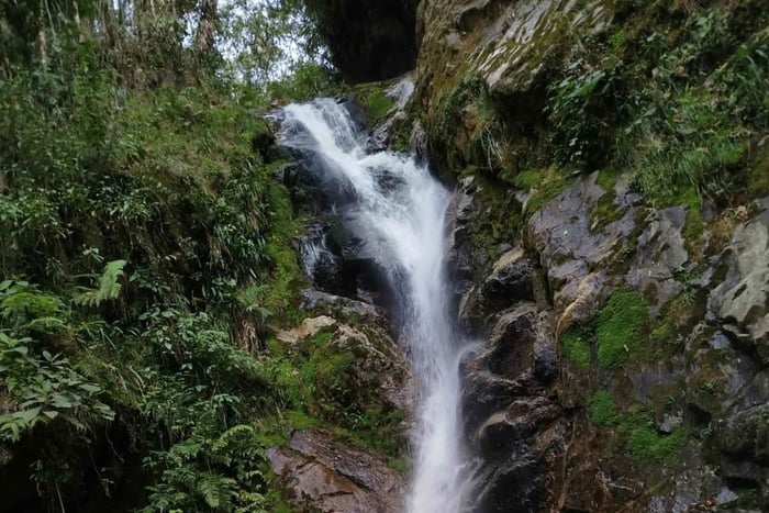 Medellín: Trekking and nature adventure at the Chorro de Campanas waterfall