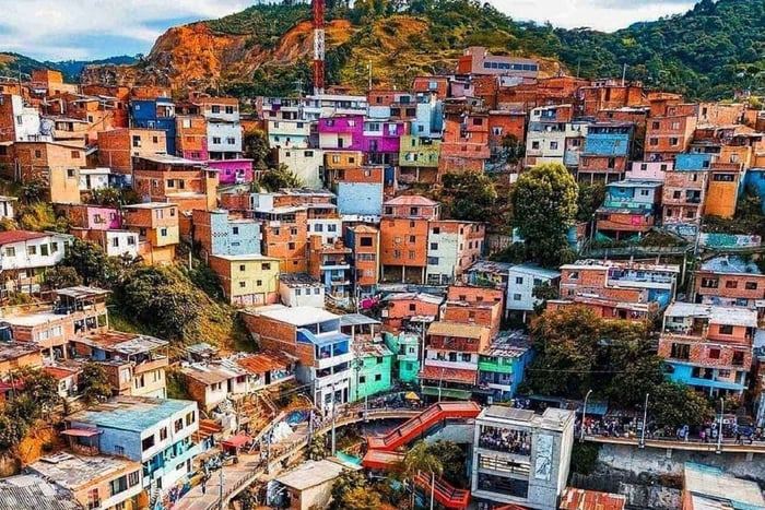 Medellín: Visit the Botanical Garden and Comuna 13. Relaxation and Art!