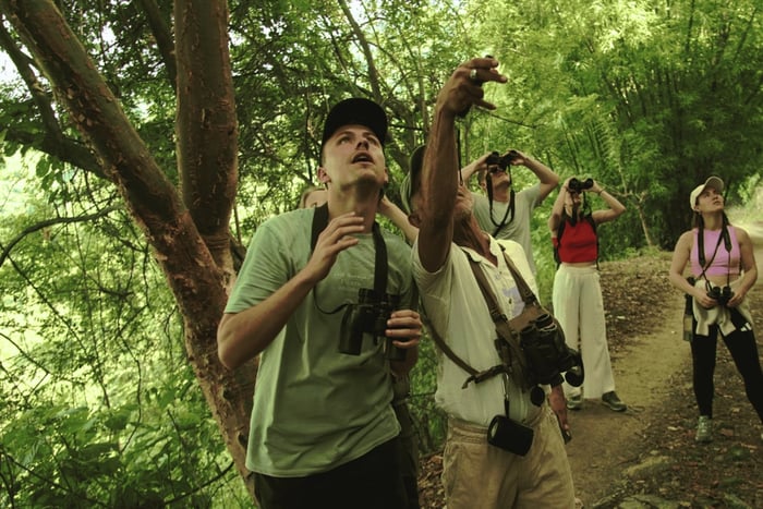 Minca: Birdwatching at sunrise with Jungle Joe