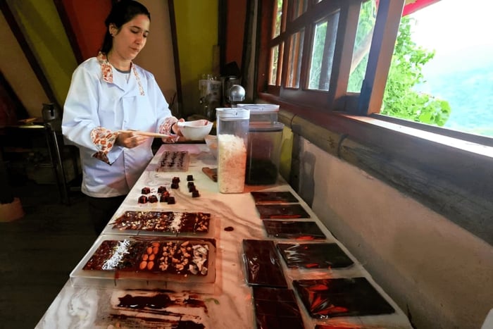 Minca: Chocolate Factory workshop with Jungle Joe