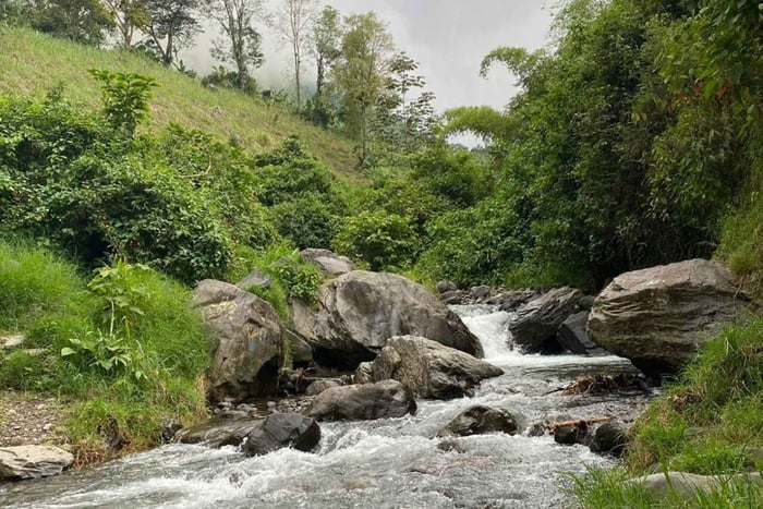 Nariño: Galeras-vandfaldet og Sandoná – natur og tradition på én tur