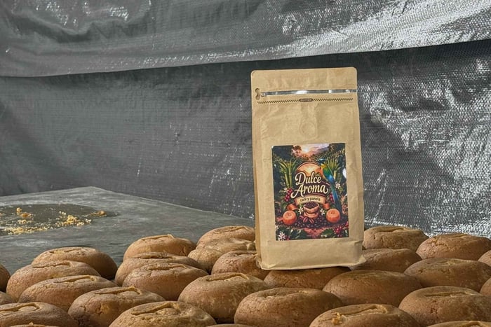 Panela Experience: Discover Colombia’s Sweet Tradition