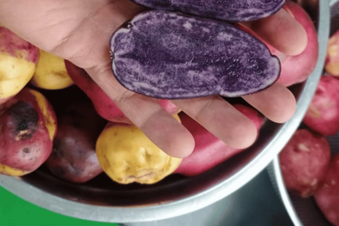Pasto: Guided Tour of the Market Square, Flavors that Tell Stories