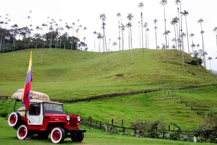 PEREIRA/ARMENIA: FULL-DAY TRANSFER SALENTO + FILANDIA + COCORA VALLEY