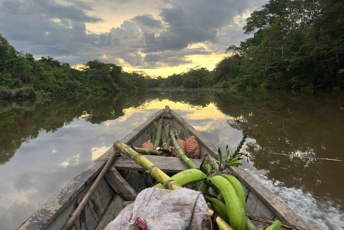 Privat Amazonas-opplevelse med urfolk (nær Leticia)