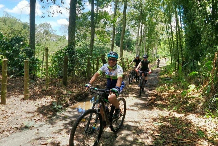 Salento: Coffee Region Mountain Bike Tour with Lunch