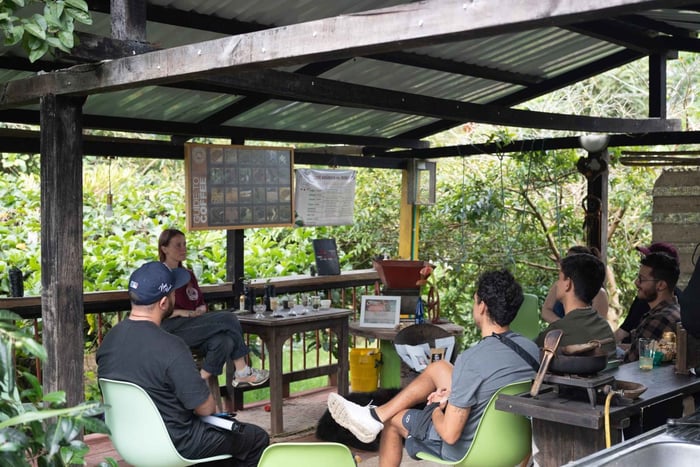 Salento: Kafferundtur på Finca Don Eduardo! Alt du trenger å vite
