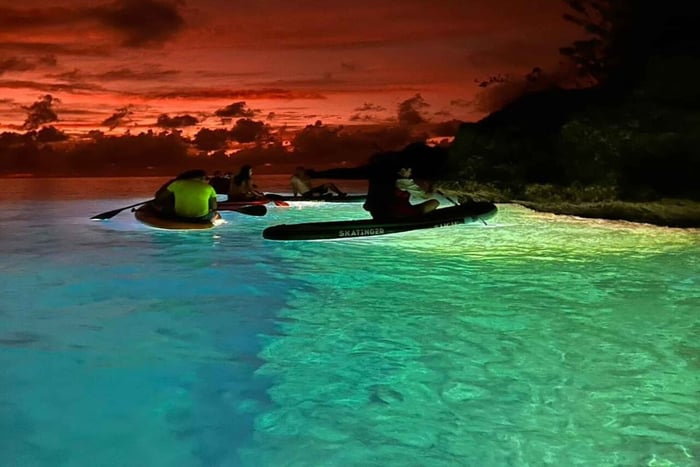 San Andrés: Passeio noturno de caiaque ou paddleboard cristalino com luzes de LED