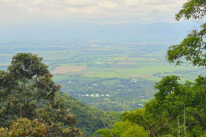Santa Elena: Valle del Cauca jungle E-Bike Tour with Swim