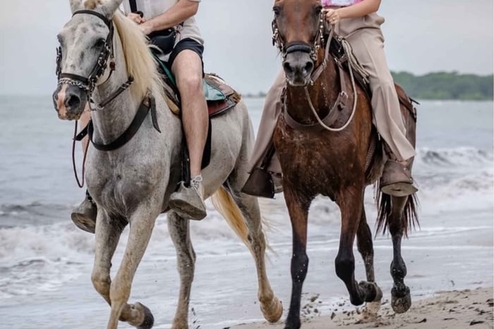 Santa Marta: Cabalgata a las Cascadas de Valencia en el Tayrona