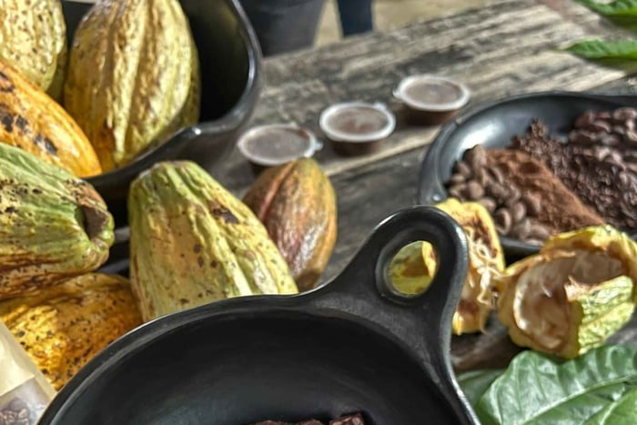 Santa Marta: Minca Cacao Tour with Electric Motorcycle Ride