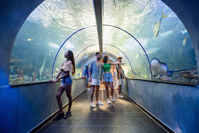 Santa Marta : Playa Blanca, aquarium et croisière avec déjeuner
