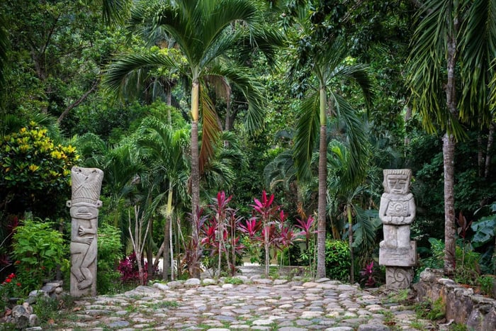 Santa Marta: Taironaka Indigenous Tour