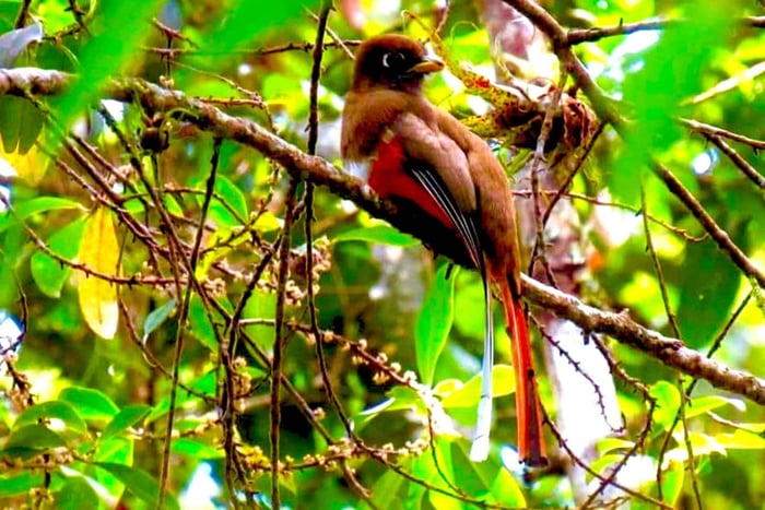 Sierra Nevada de Santa Marta: maruamake eco lodge