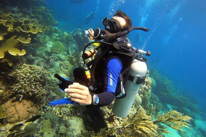 Parco Nazionale Tayrona: immersioni per principianti con guide esperte