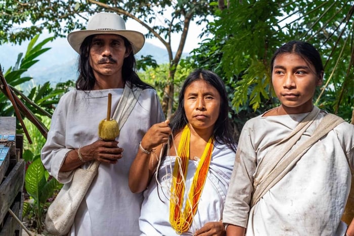 Tour indigenous trails, coffee ☕️, cacao, waterfall - Minca