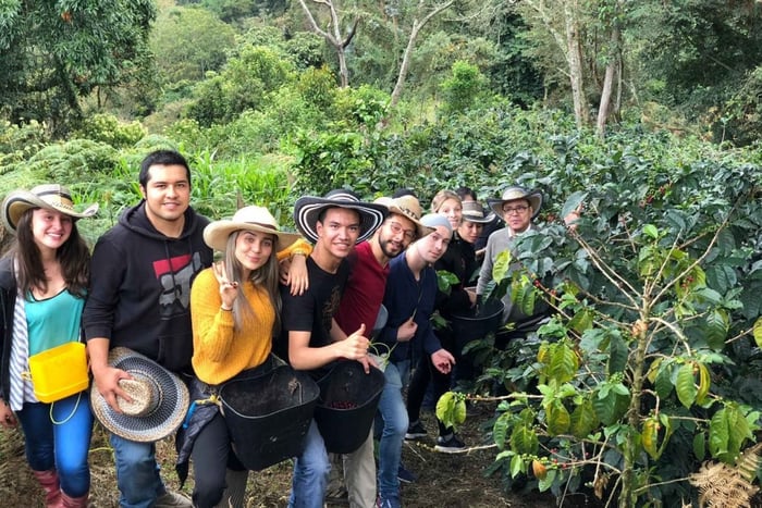 Salento: Privat tur til Cocora-dalen, Salento og kaffefarm