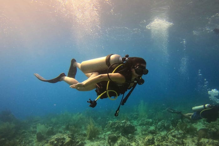 San Andrés : Excursion guidée de plongée sous-marine avec transfert à l'hôtel