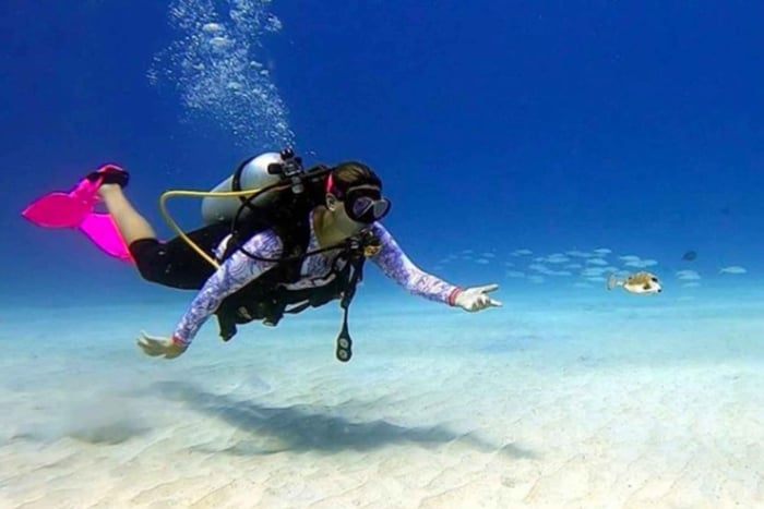 San Andres: experiência de mergulho com embarque no hotel