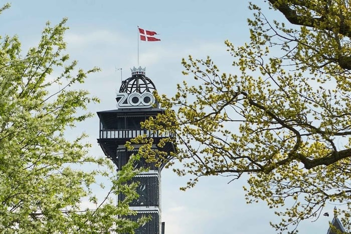 Copenhague: Ingresso para a Torre do Zoológico de Copenhague