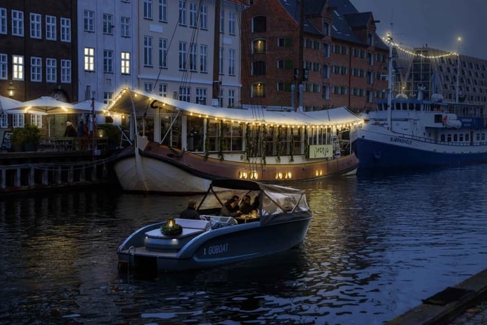 Kopenhagen: Privétour met kapitein (Lite)