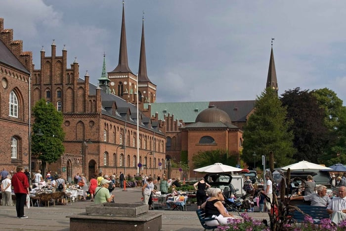 København: Rundtur i Roskilde, vikingebyen på engelsk