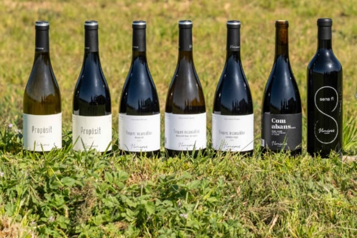 Girona: 7 Wine and Oil Tasting at Viníric Winery in Calonge
