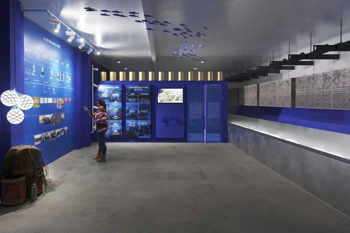 L'Escala: SOLÉS Sardellenfabrik - Museumseintritt und Verkostung