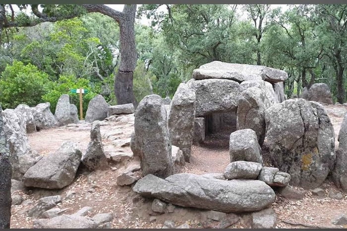 Romanyà de la Selva Forest Walk with Dolmens