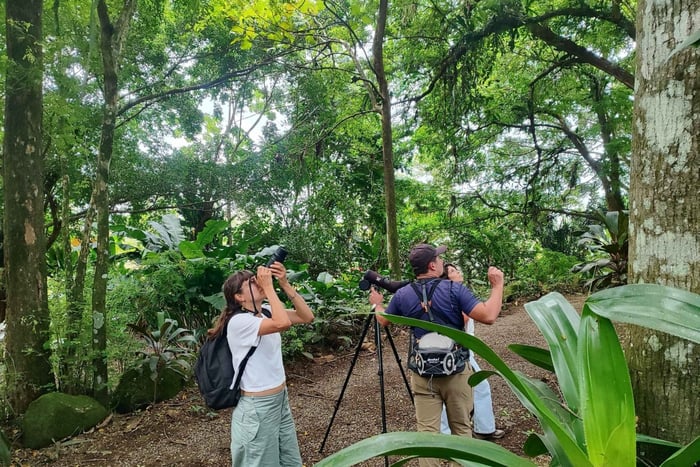 Bijagua de Upala: foresta pluviale, bradipi, uccelli e divertimento a non finire.