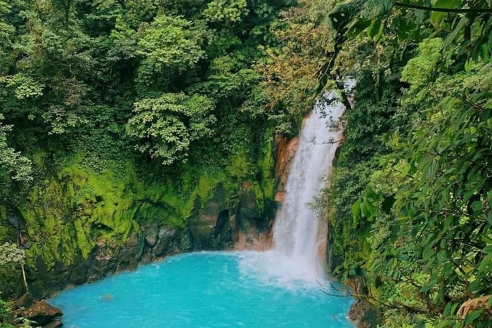 Bijagua Tour (Rainforest & Sloths)