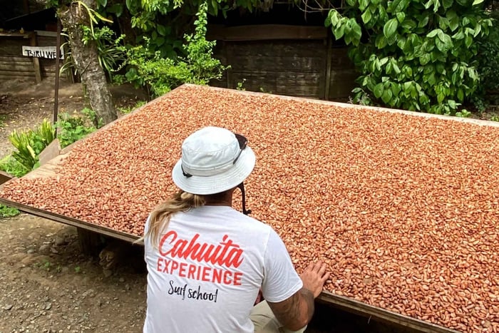 Cahuita: visita a una famiglia Bri-Bri, produzione di cioccolato e cascata