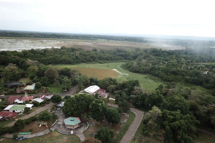 Caño Negro: rivers and lagoons: bird, flora and fauna tour