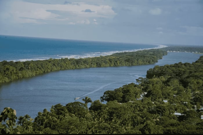 Excursión en canoa por el Parque Nacional de Tortuguero *Lo MEJOR DE LA CIUDAD*.