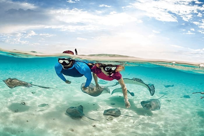 Flamingo et Tamarindo : Plongée avec tuba aux îles Las Catalinas