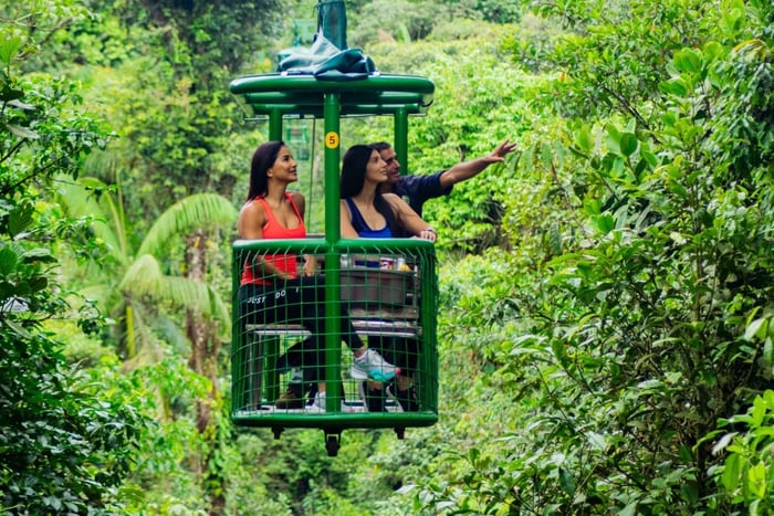 Da San Jose: Tour in tram della foresta pluviale atlantica