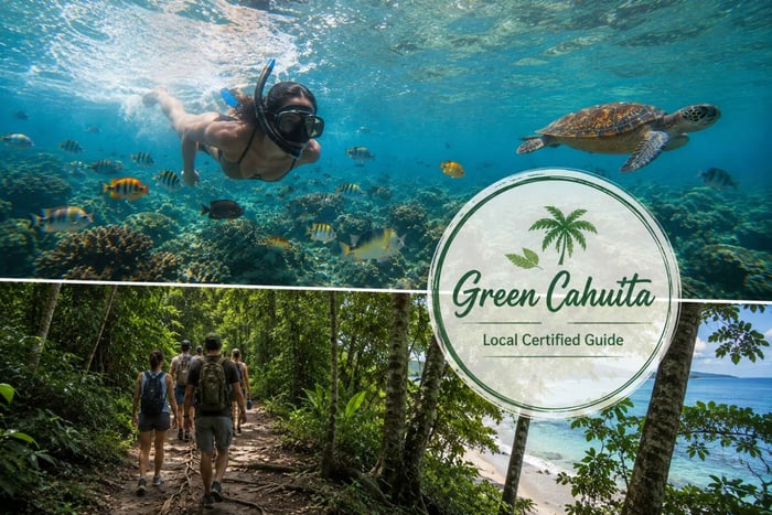Caminhada e mergulho com snorkel no Parque Nacional Cahuita com guia local
