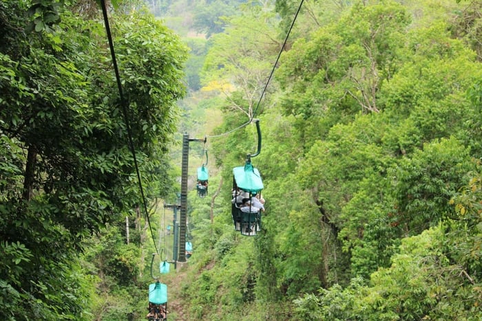 Пляж Жако: Тихоокеанская канатная дорога в Rainforest Adventures