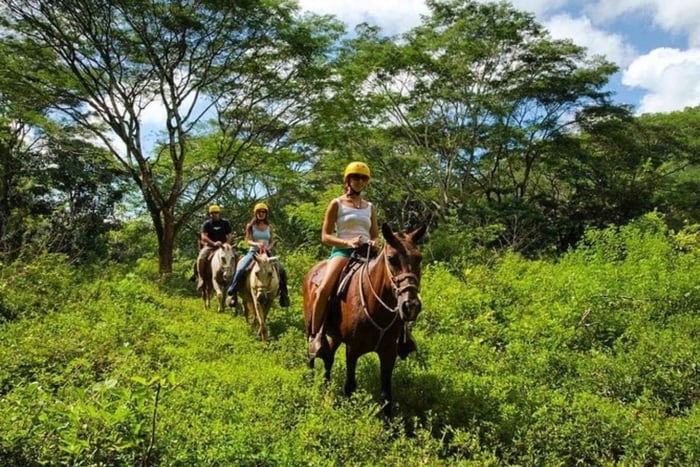 Jaco: Passeggiata a cavallo nella foresta pluviale fino alla cascata El Encanto
