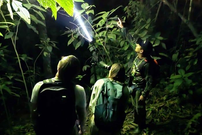 La Fortuna: Night Jungle Experience & Hot Springs Lunch