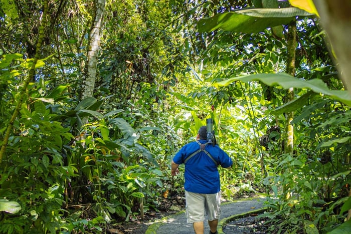La Fortuna: Dovendyrstur i Arenal Volcano Park og lokal snack