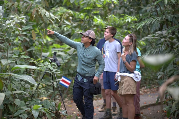La Fortuna: Spaziergang durch die Natur mit Faultieren und Wildtieren