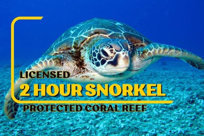 LICENCIADA Aventura de dos horas de snorkel Parque Nacional de Cahuita