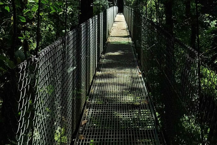 Místico Hanging Bridges Private Adventure Sightseeing Tour in La Fortuna