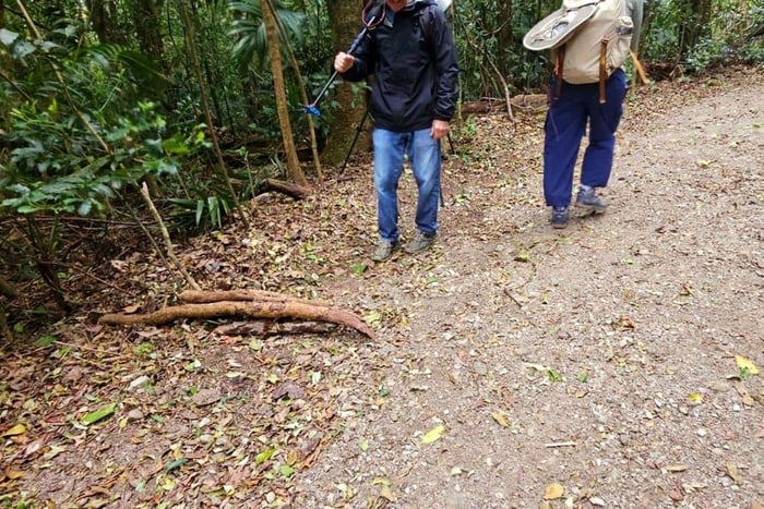 Monteverde: Cloud Forest Night Tour with Pablo
