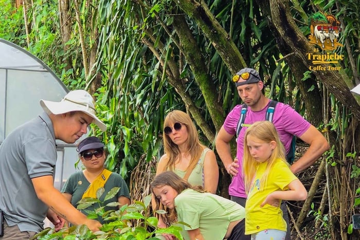 Monteverde: tour del caffè, del cioccolato e della canna da zucchero