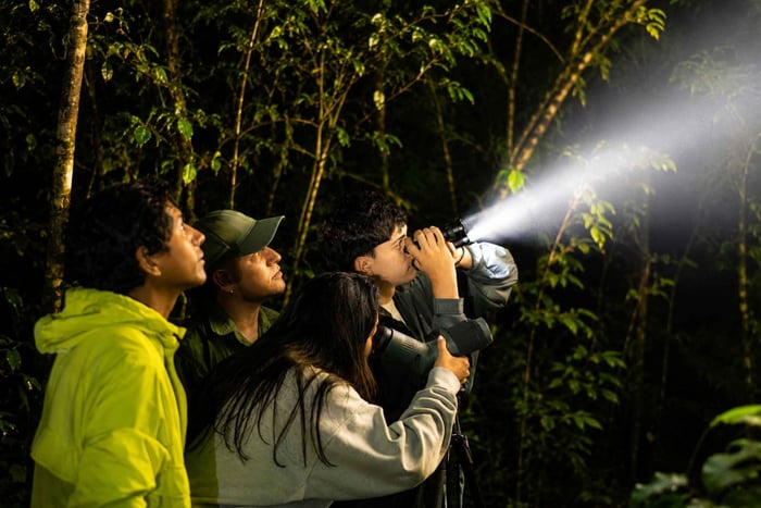Monteverde: Curi-Cancha Night Wildlife Tour
