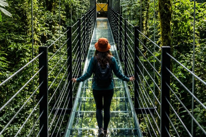 Monteverde: Hanging Bridges & Glass Bridge Guided Tour