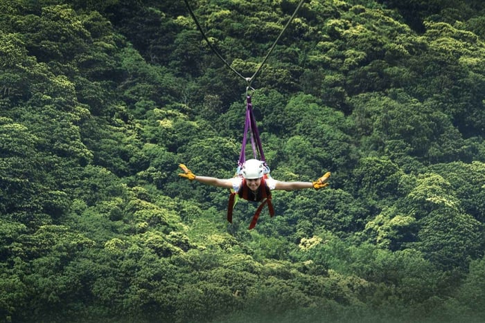 Monteverde: Selvatura Park Zipline and Tarzan Swing Tour
