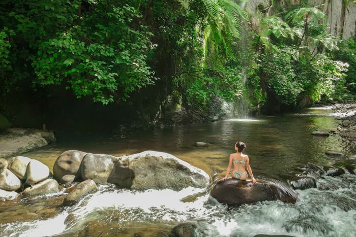 Pase de un día en la naturaleza en las aguas termales de Rincón de la Vieja